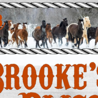 Get (PDFBOOK) Brooke’s Bliss (Nights in 