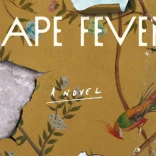 Get Book Cape Fever by Nadia Davids
