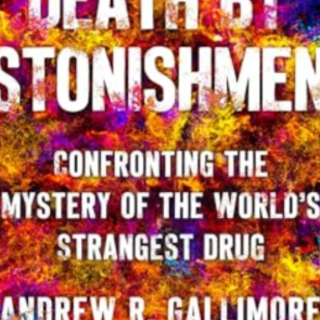 Read Free Book Death by Astonishment: Co