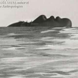 (PDF) Book Download Discipline by Lariss