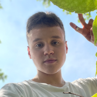 Аркадий Ананьин