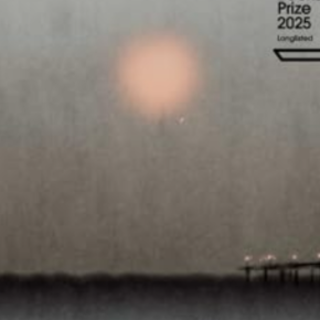 Read PDF Seascraper by Benjamin Wood