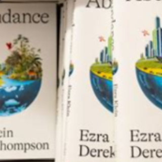 (PDF) Book Download Abundance by Ezra Kl