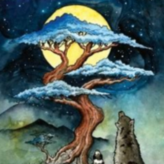 (PDF) Book Read The Dog Who Followed the