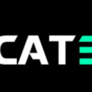 CAT368