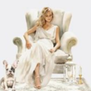 Read Free Book Gift Book for Italy Dream