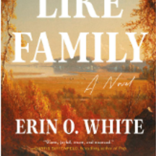 [PDF] Like Family