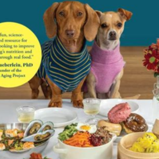 Read Book The Dog's Table: 120+ Easy Rea