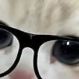 Read (PDF) Book Chained Fate (Molotov Be