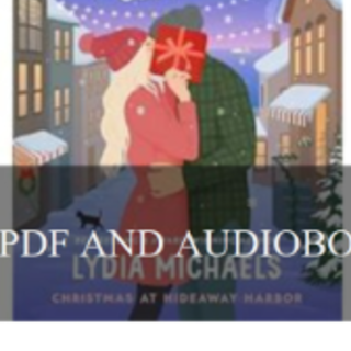 Get [PDF] Book The Holiday Clause by Lyd