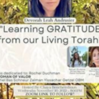 Download Book To Live with an Open Heart