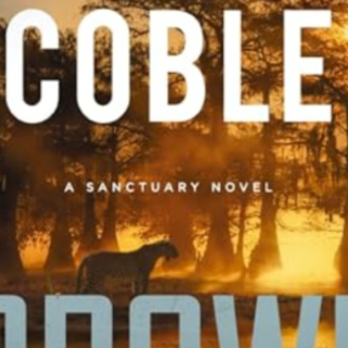 Download Book Prowl (Sanctuary #2) by Co