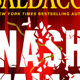 Get (PDF) Book Nash Falls (Walter Nash #