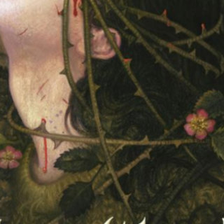 Get Free [PDF] Hazelthorn by C.G. Drews