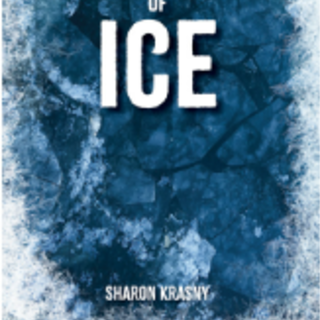 [PDF] Shroud of Ice