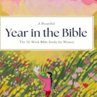 Read (PDF) Book A Beautiful Year in the 