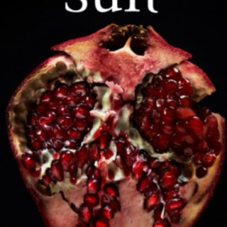 [PDF] Book Download Midnight Sun (The Tw