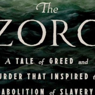 Read PDF The Zorg: A Tale of Greed and M