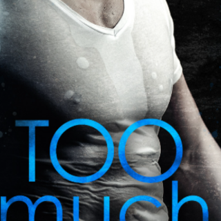 Download (BOOKFILE) Too Much (Hayes Brot