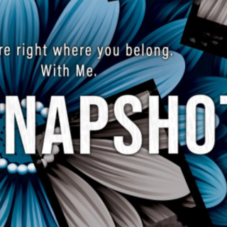 Download (PDF) Book Snapshot (Lessons in