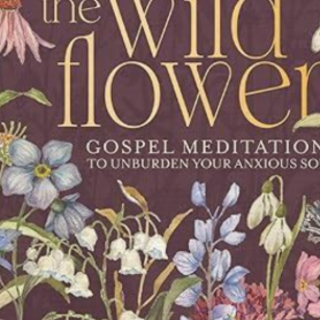 (PDF) Book Download The Way of the Wildf