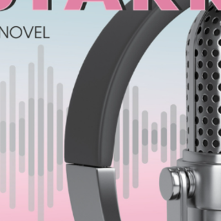 Get (PDF) Book Radio Starr by Lisa Lehma