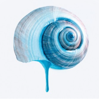 Modrou stezkou Celý Film [2025] cz a Zda