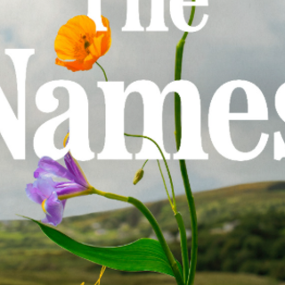 Download PDF The Names by Florence Knapp