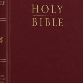 Get (PDF) Book ESV Church Bible (Hardcov