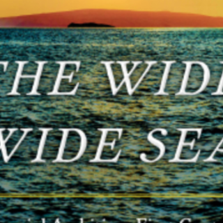 Download (BOOKFILE) The Wide Wide Sea: I