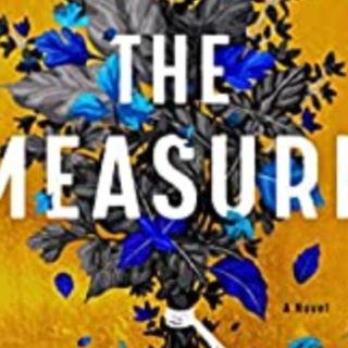 Read [PDF] Book The Measure by Nikki Erl
