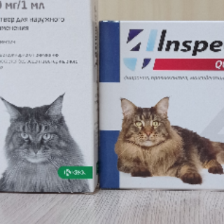 Яснополянский Зооветснаб