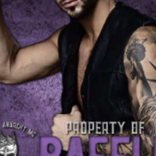 Get Book Property of Baffle (Kings of An