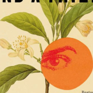 Read (PDF) Book A Guardian and a Thief b