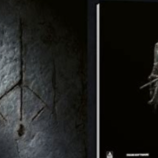 Read [PDF] Book Bloodborne Complete Guid