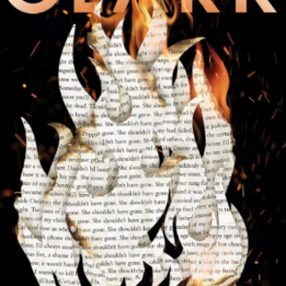 Download Book The Ghostwriter by Julie C