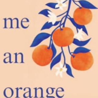 (PDF) Book Download Save Me an Orange by