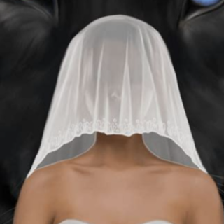 Read (BOOKPDF) The Alpha's Bride: Book 3