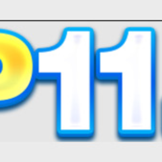 pp11