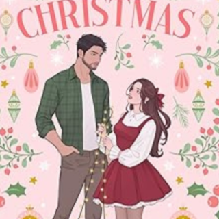 Download Book The Bright Side of Christm