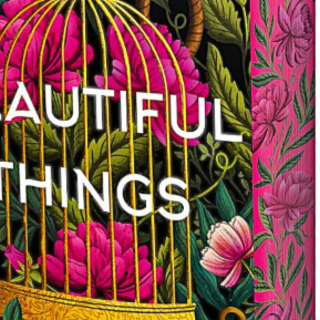 Download (PDF) Book Beautiful Things (Se
