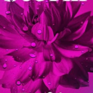 Get PDF April Storm: A Novel by Leila Me