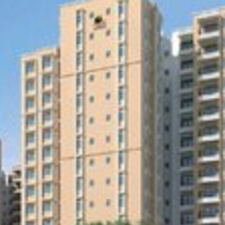 Prestige Evergreen