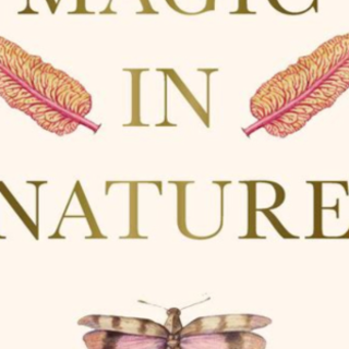 Get Free [PDF] A Practical Guide to Magi