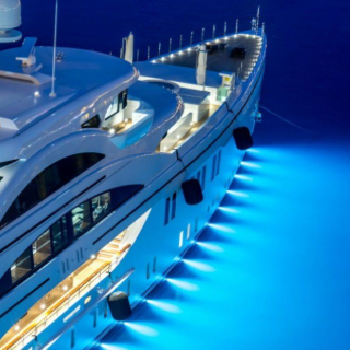 Роман Шутов