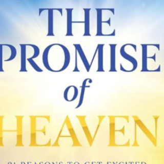 Get (PDFBOOK) The Promise of Heaven: 31 