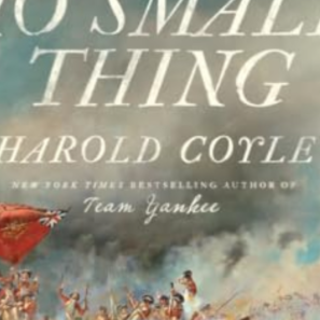 Download Free Book No Small Thing: A Nov