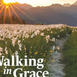 Get (PDF) Book Walking in Grace 2026: Da