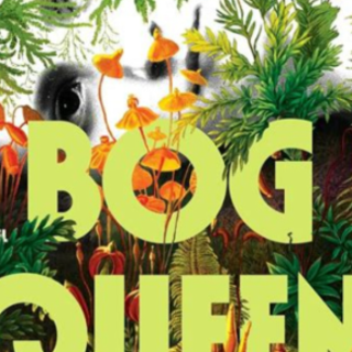 (PDF) Book Read Bog Queen by Anna North