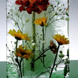 Read Free Book Needle Lake by Justine Ch